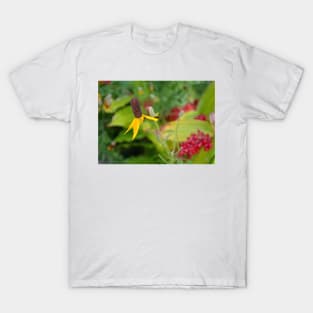 Manitou Cliff Dwellings Flora 2 T-Shirt